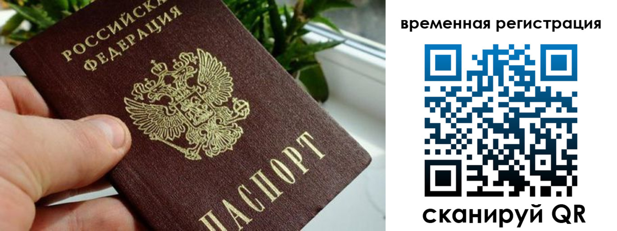 прописка поиск в Пушкино